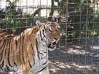 IMG 2501