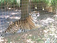IMG 2502