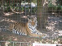 IMG 2503
