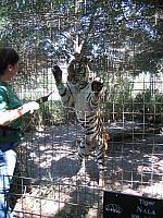 IMG 2505