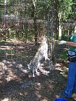 IMG 2510
