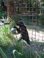 IMG 2514