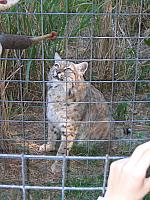 IMG 2515