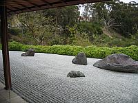 IMG 1343