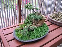 IMG 1351