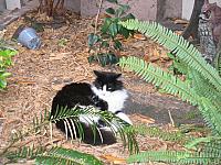 IMG 2243