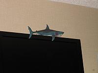 IMG 4079
