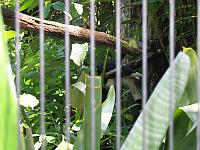 IMG 4302