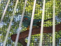 IMG 4305