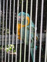 IMG 4306