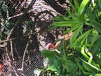 IMG 4308