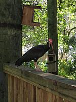 IMG 4310