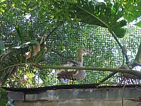 IMG 4317