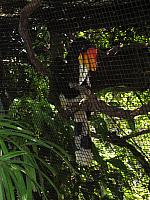 IMG 4319