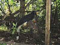 IMG 4320