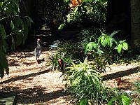 IMG 4323