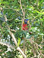 IMG 4325