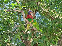 IMG 4326