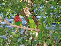 IMG 4327