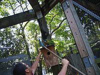 IMG 4328