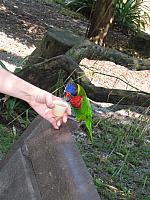 IMG 4330