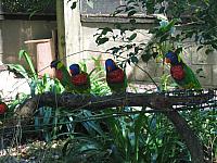 IMG 4331