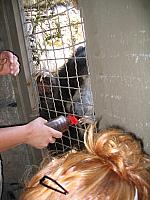 IMG 4334