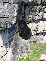 IMG 4335