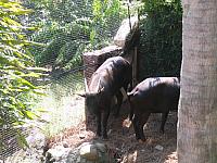 IMG 4336