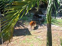IMG 4340