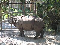 IMG 4341