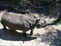 IMG 4343