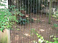 IMG 4345