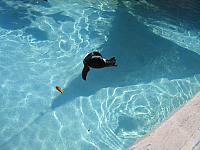 IMG 4347
