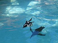IMG 4349