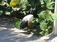 IMG 4351