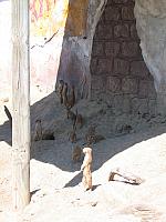 IMG 4354