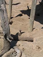 IMG 4356