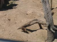 IMG 4357