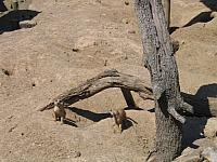 IMG 4358