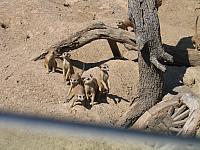 IMG 4359