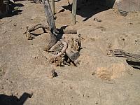 IMG 4360