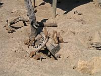 IMG 4361