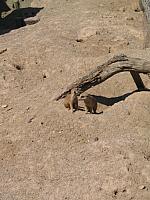 IMG 4362