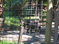 IMG 4365