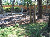 IMG 4367