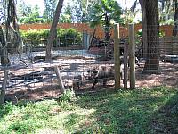 IMG 4368