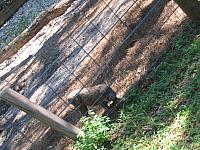 IMG 4369
