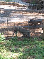 IMG 4370