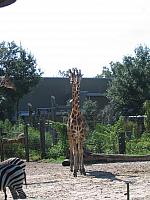 IMG 4374